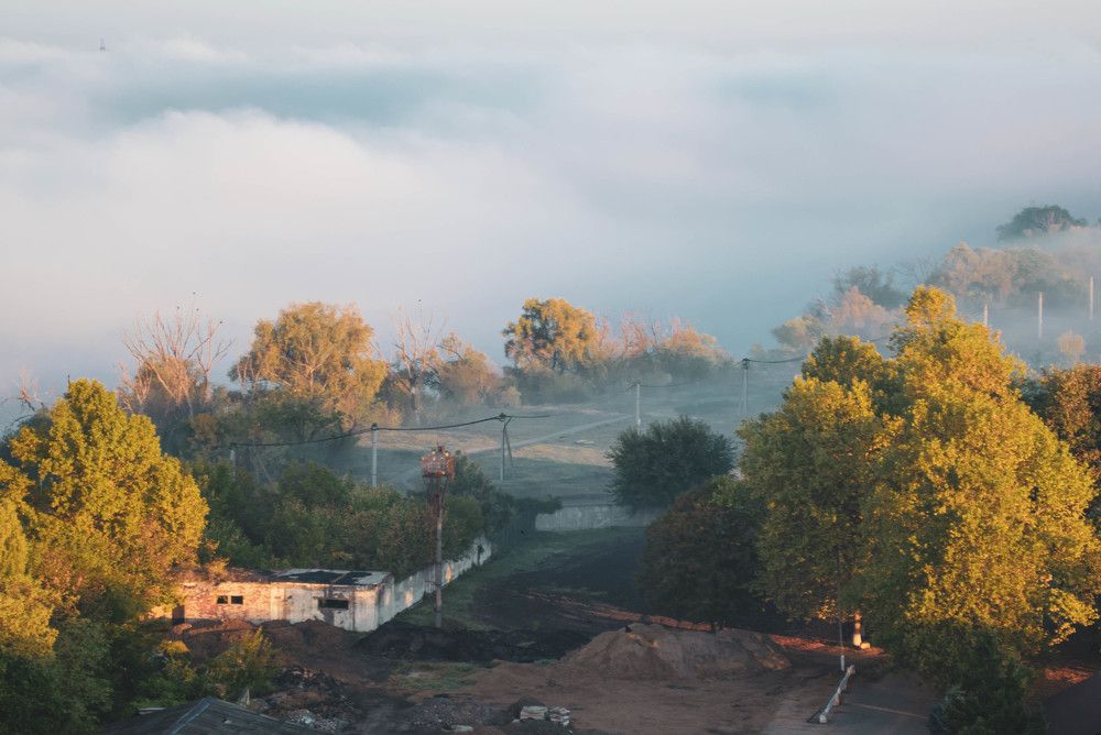 Photograph by Алена Жилина