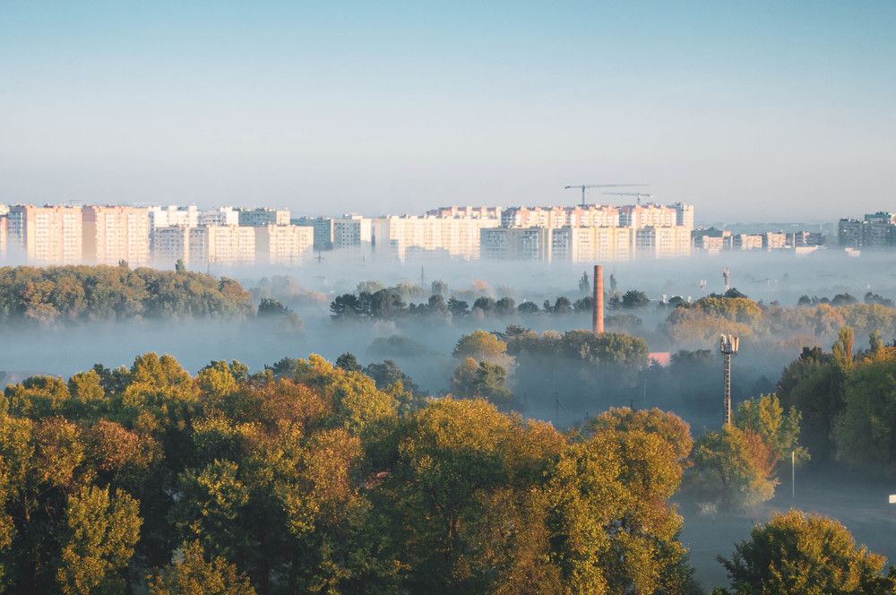 Photograph by Алена Жилина