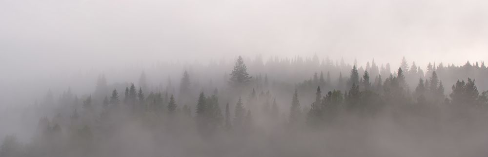 Photograph by Иван Игнатов