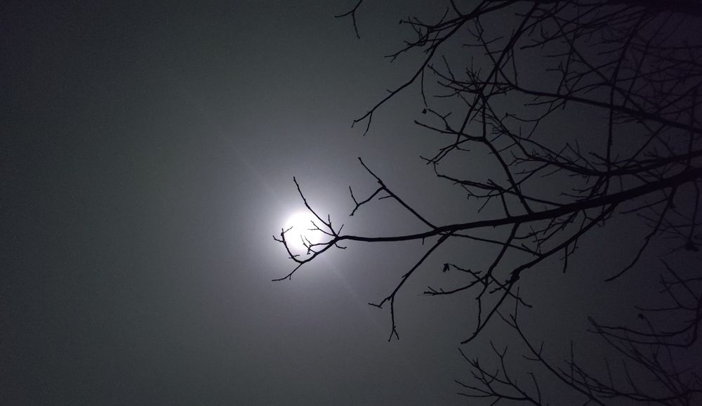 Photo #6846002