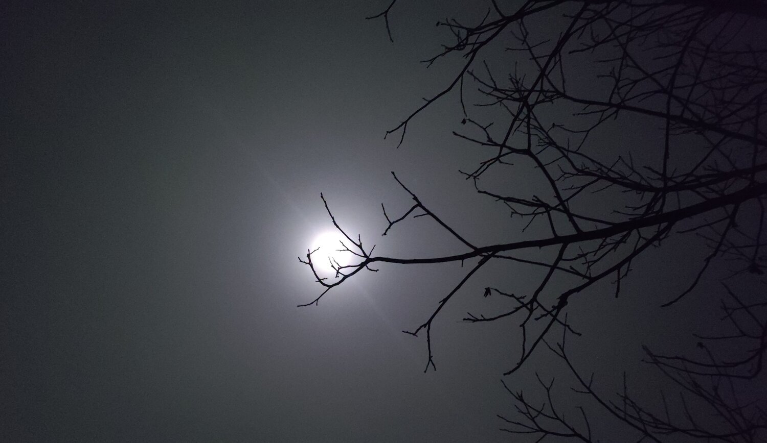 Photo #6846002