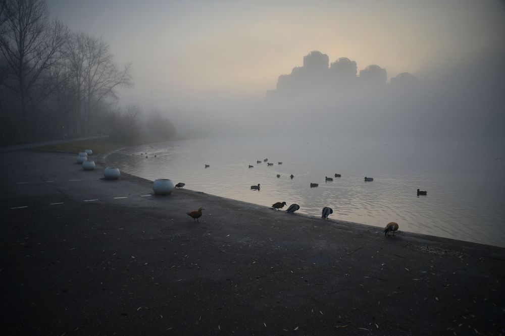 Photograph by Nik Rauzhin