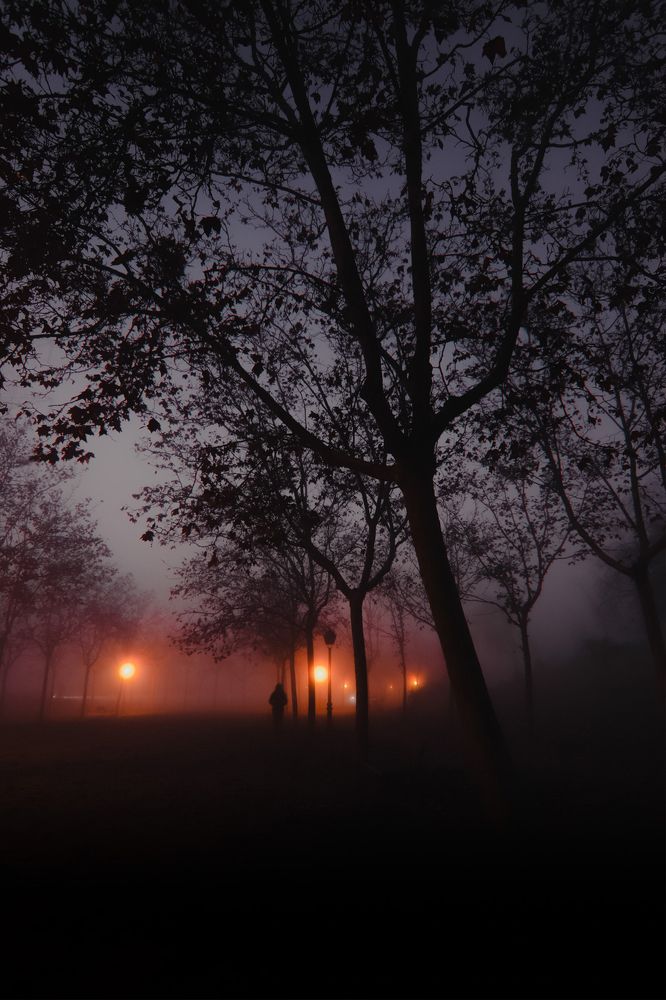 Фотография автора Sandra