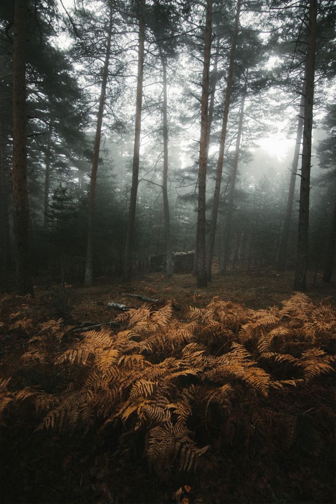 Фотография автора Sandra