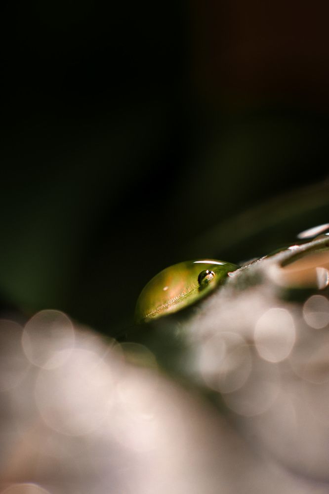 Фотография автора Sandra