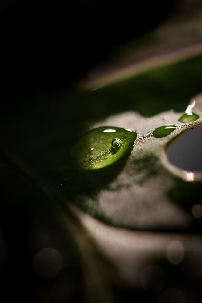 Фотография автора Sandra