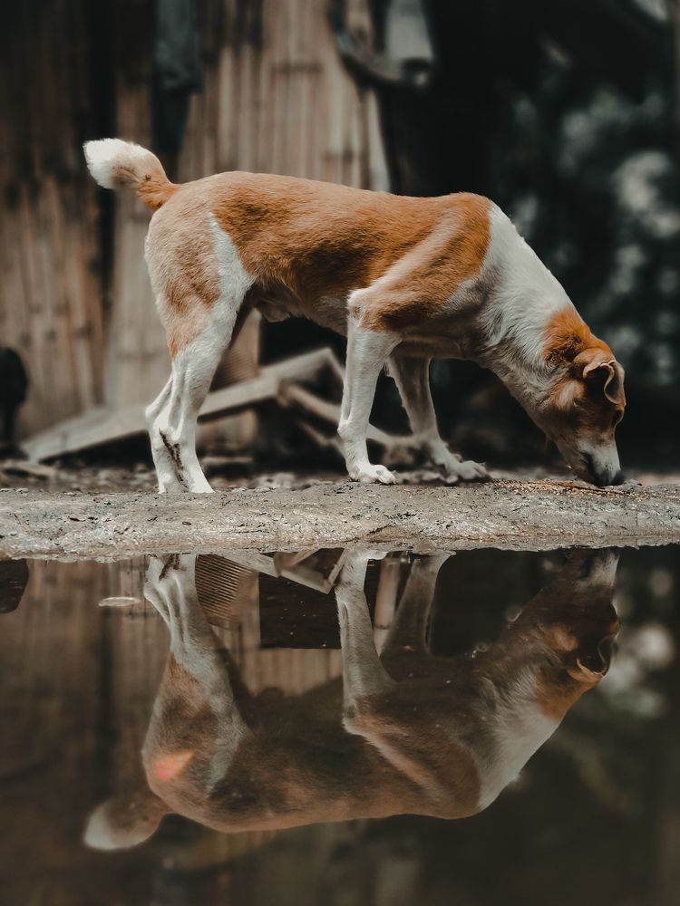 Photograph by Jhelyn Nobe Antonio