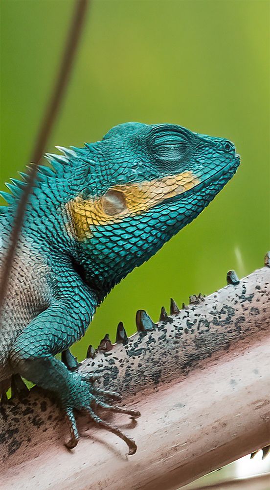 Фотография автора Toan Dinh