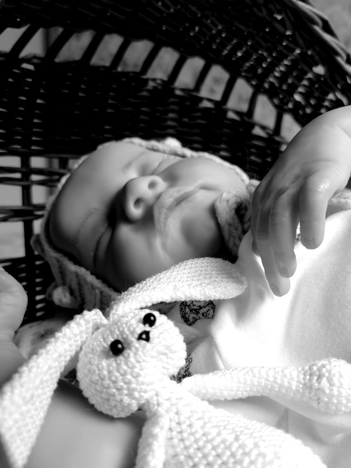 Photo #6846134