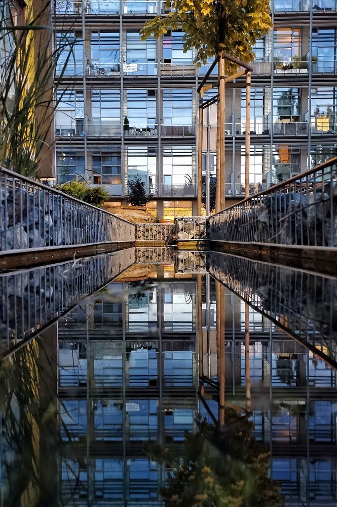 Photograph by Evgeniya