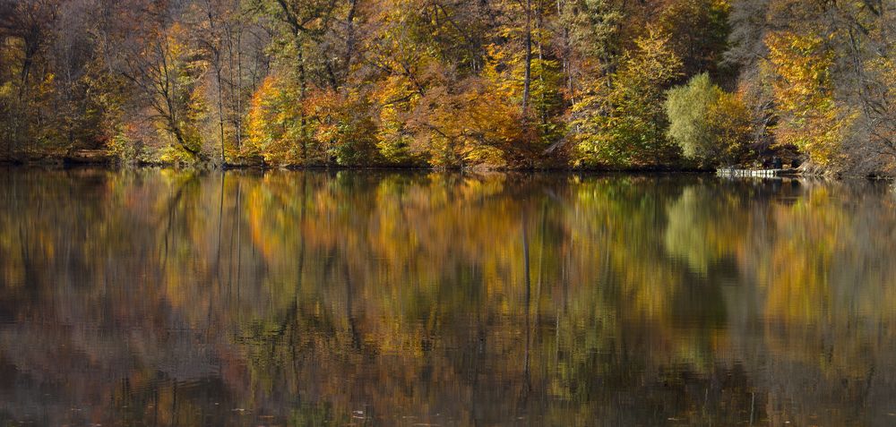 Photograph by ELENA VOLKOVA