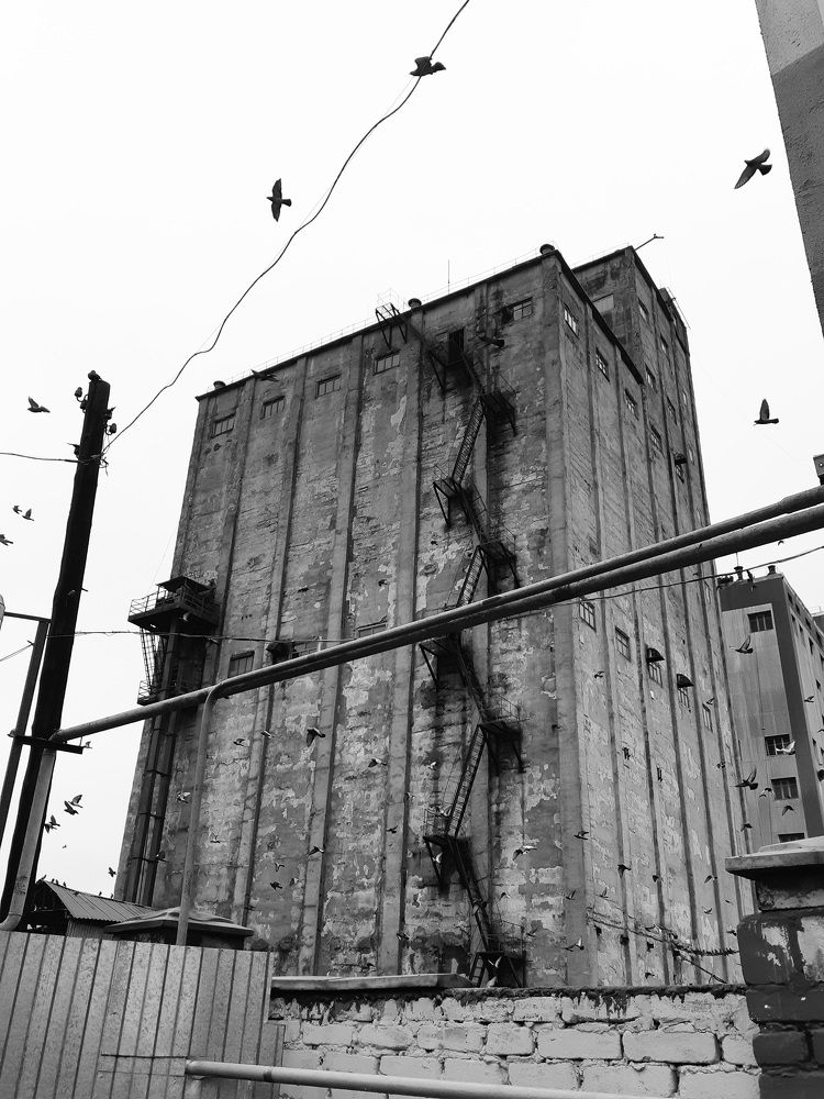 Фотография автора Александра Карпикова