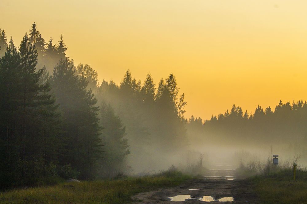 Photograph by Вячеслав Булатов