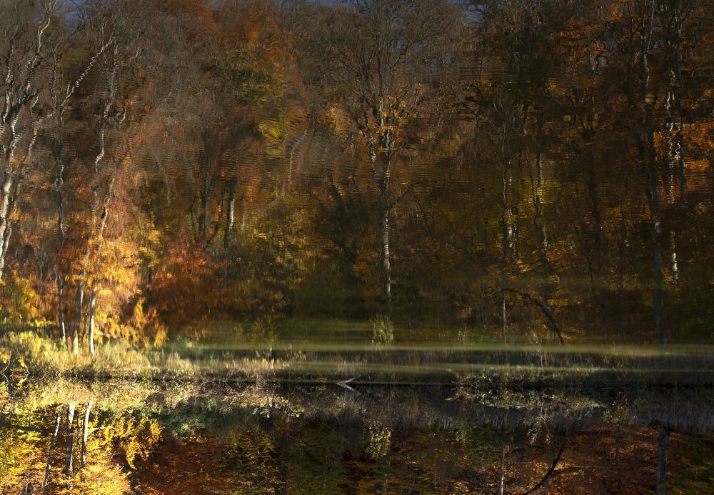 Photograph by ELENA VOLKOVA