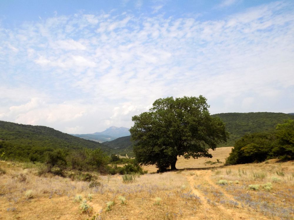 Photograph by Lasha Gegechkori
