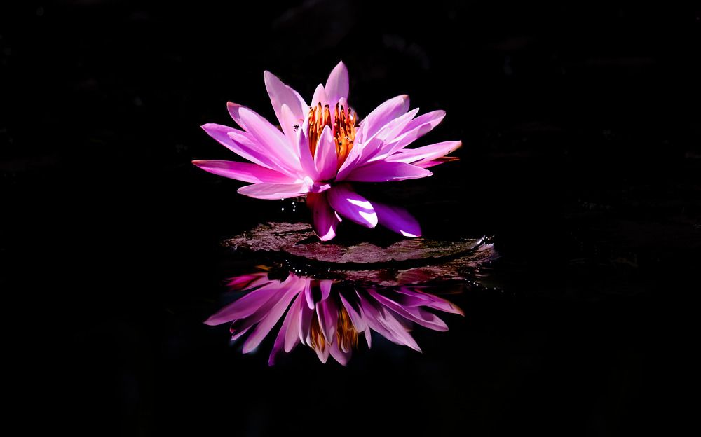 Фотография автора Toan Dinh