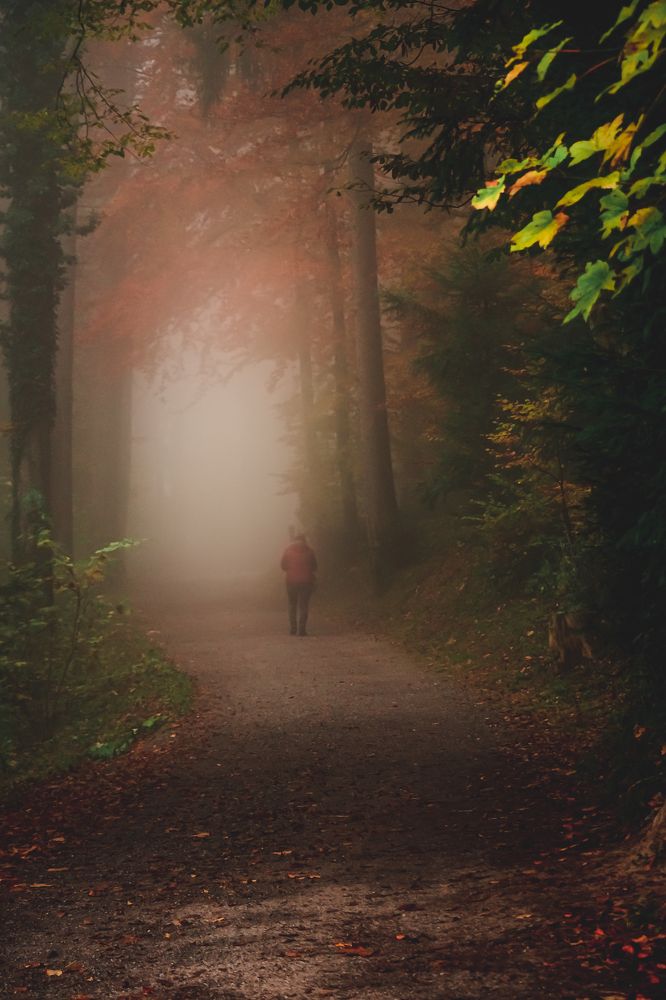 Photograph by Piotr Kaczkowski