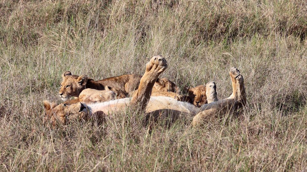 Photograph by Елена Врублевская