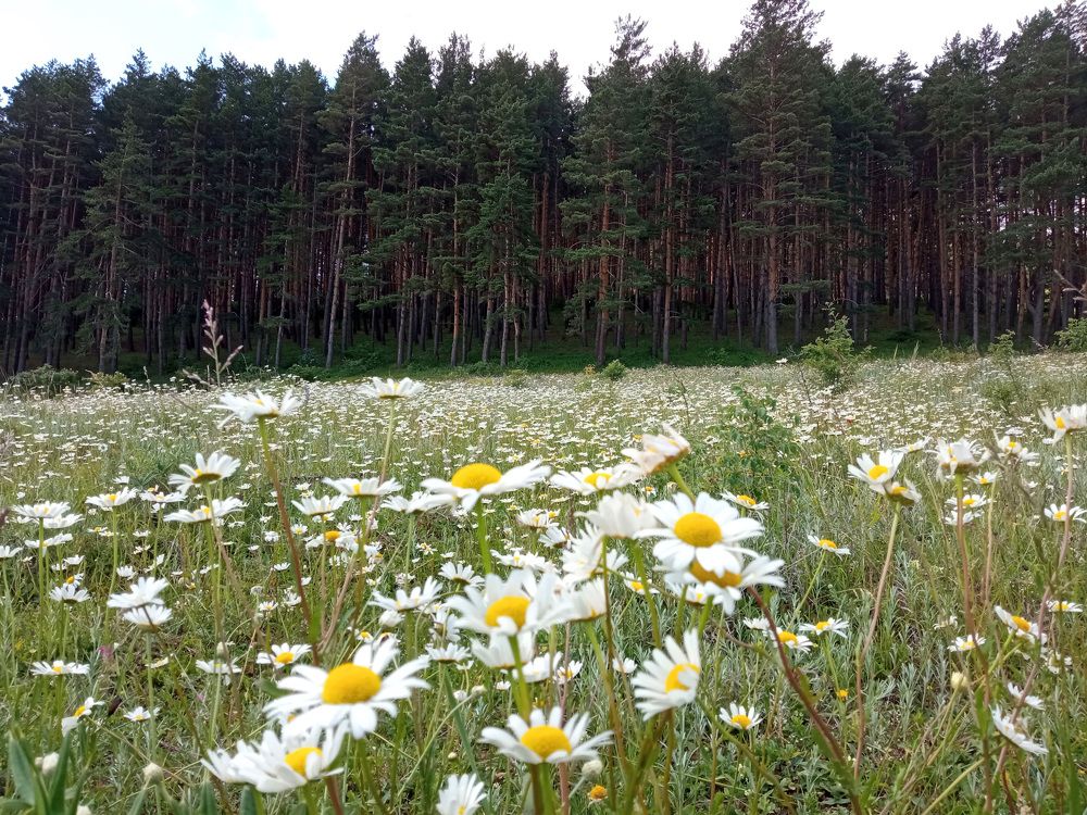 Photograph by Lasha Gegechkori