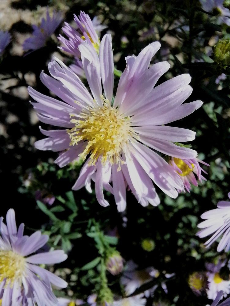 Photograph by Vesna Petkoska