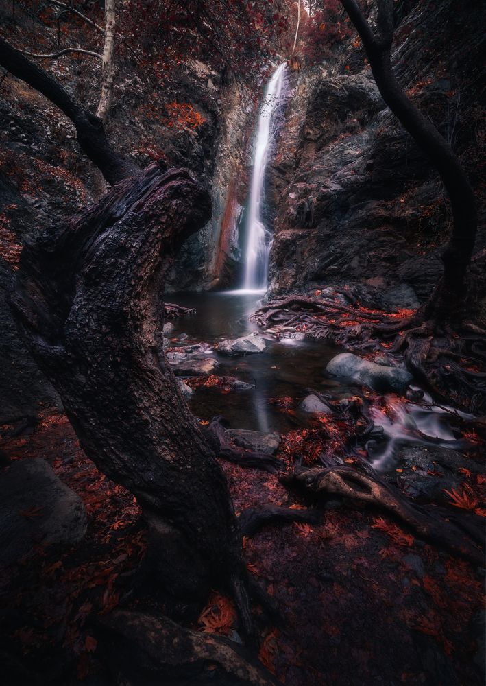 Photograph by Evgeni Fabis