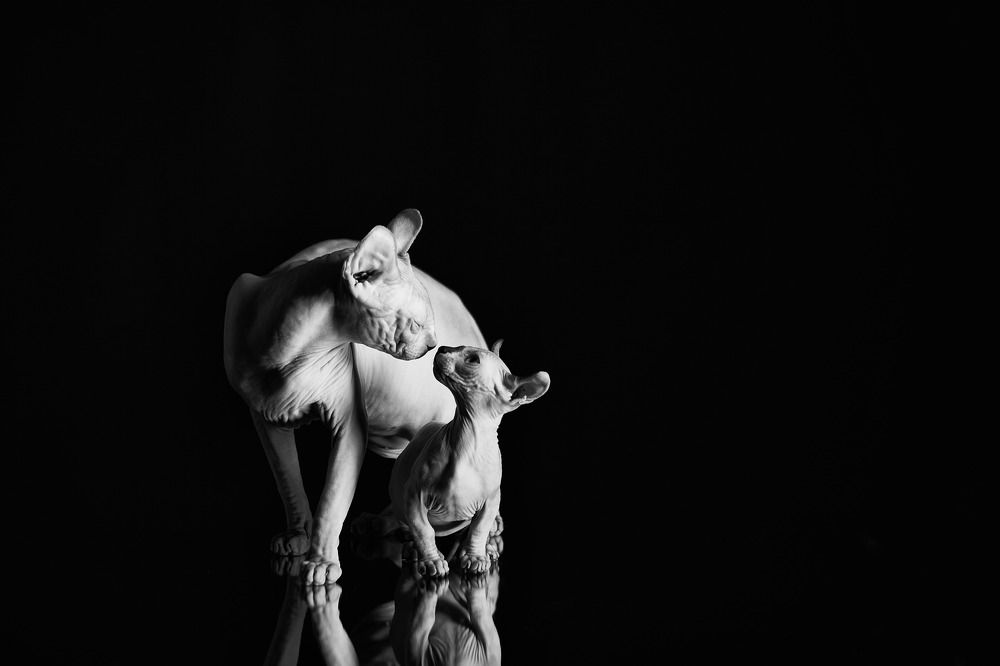 Photograph by Ирина Корх