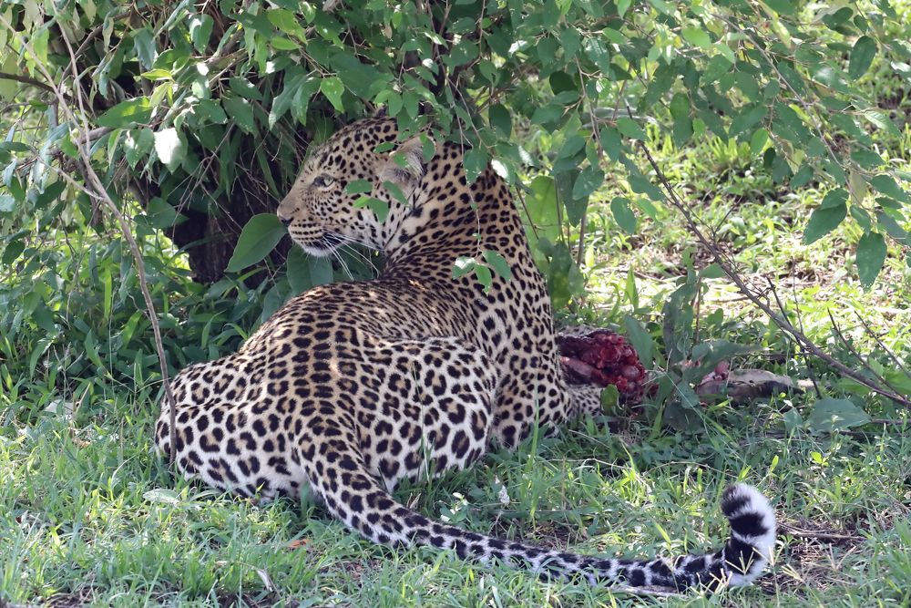 Photograph by Елена Врублевская