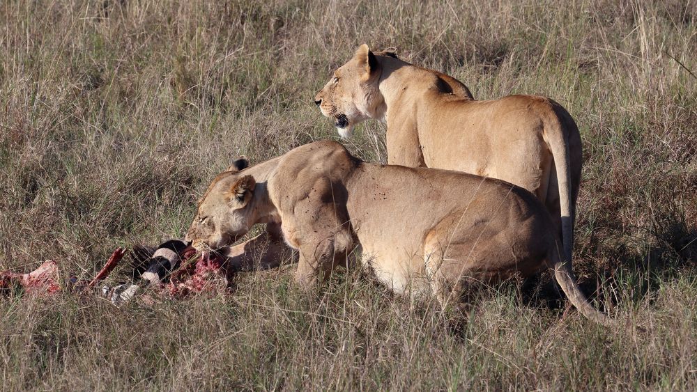 Photograph by Елена Врублевская