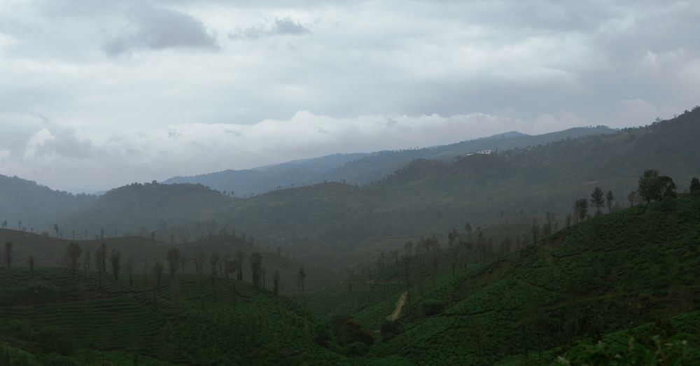 Photograph by Akhil Nadh PC