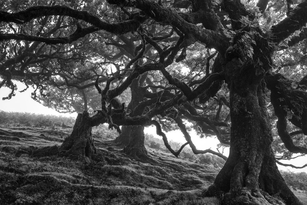 Photograph by Олексій