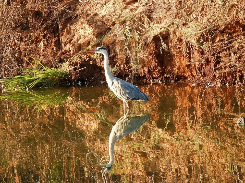 Photograph by Tamir Mor