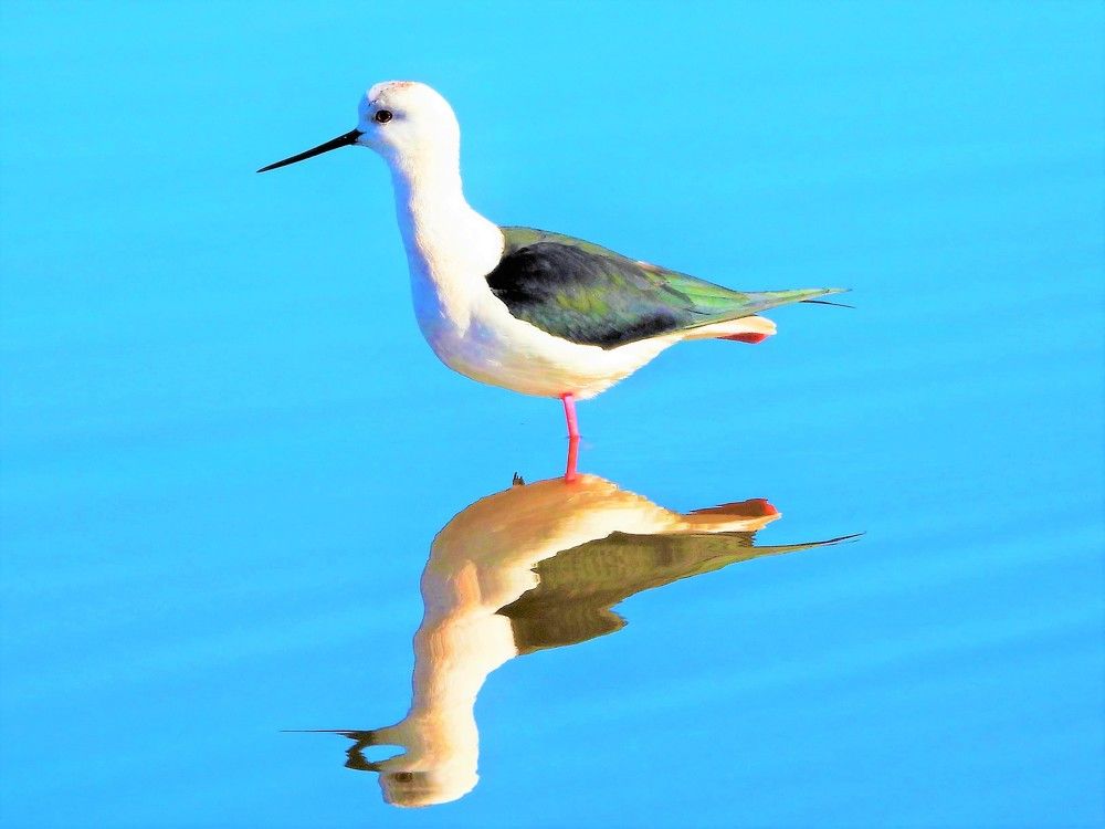 Photograph by Tamir Mor