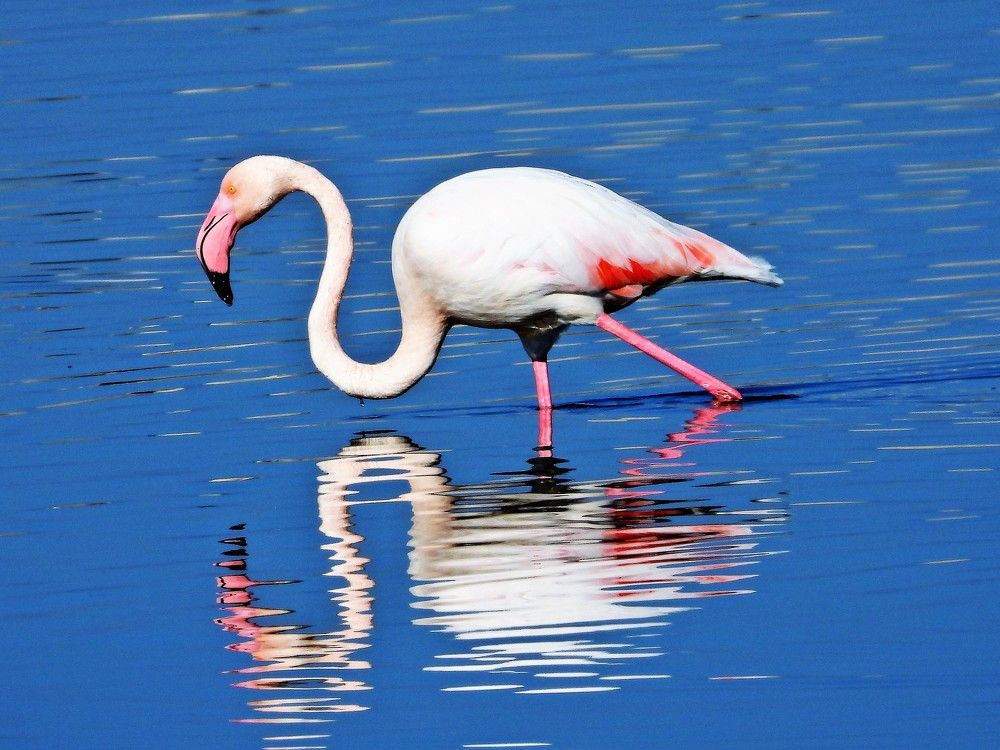 Photograph by Tamir Mor