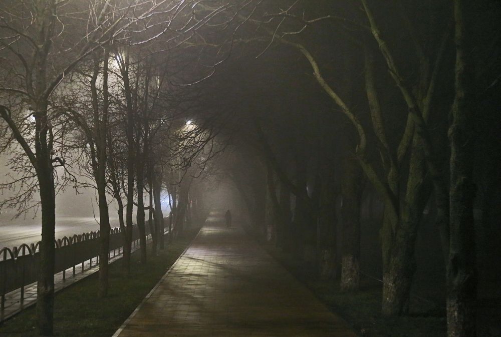 Дорога в туман!