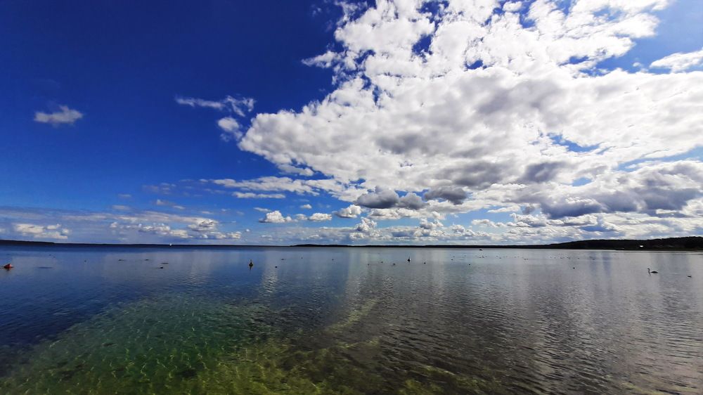 Фотография автора Моисеева Ольга