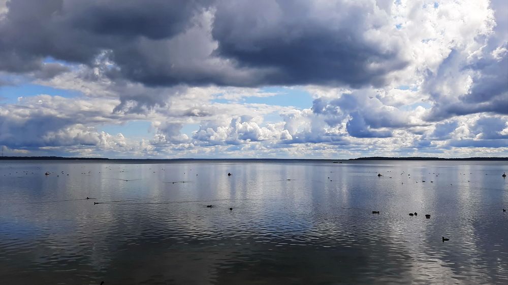 Фотография автора Моисеева Ольга