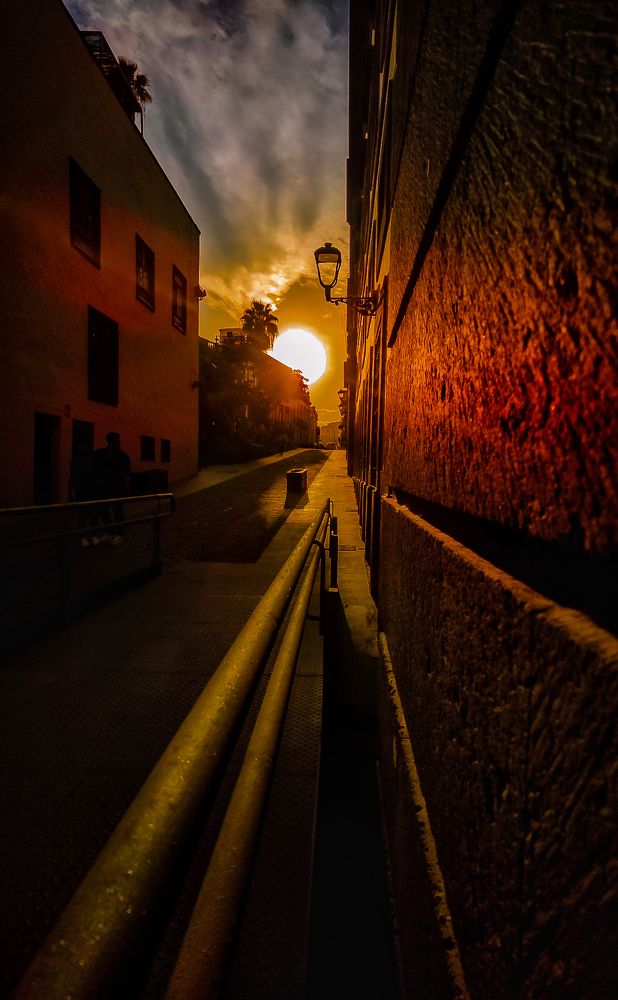 Photograph by Ivanka Iantcheva