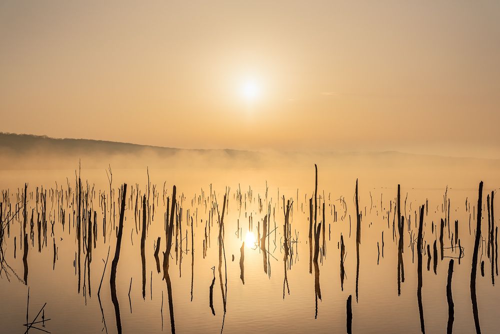 Фотография автора Zakharov Armen
