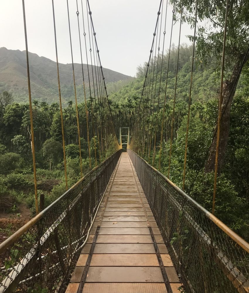 Фотография автора Naren Telluri