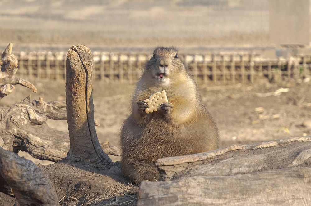 Photograph by Светлана Мельник