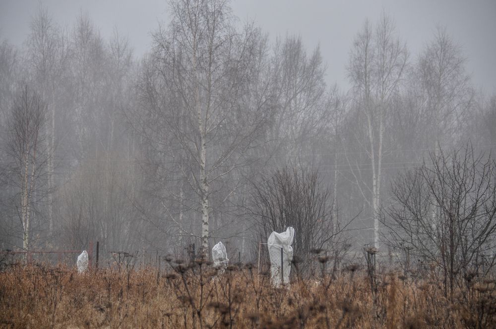 Photograph by Дмитрий Балатский