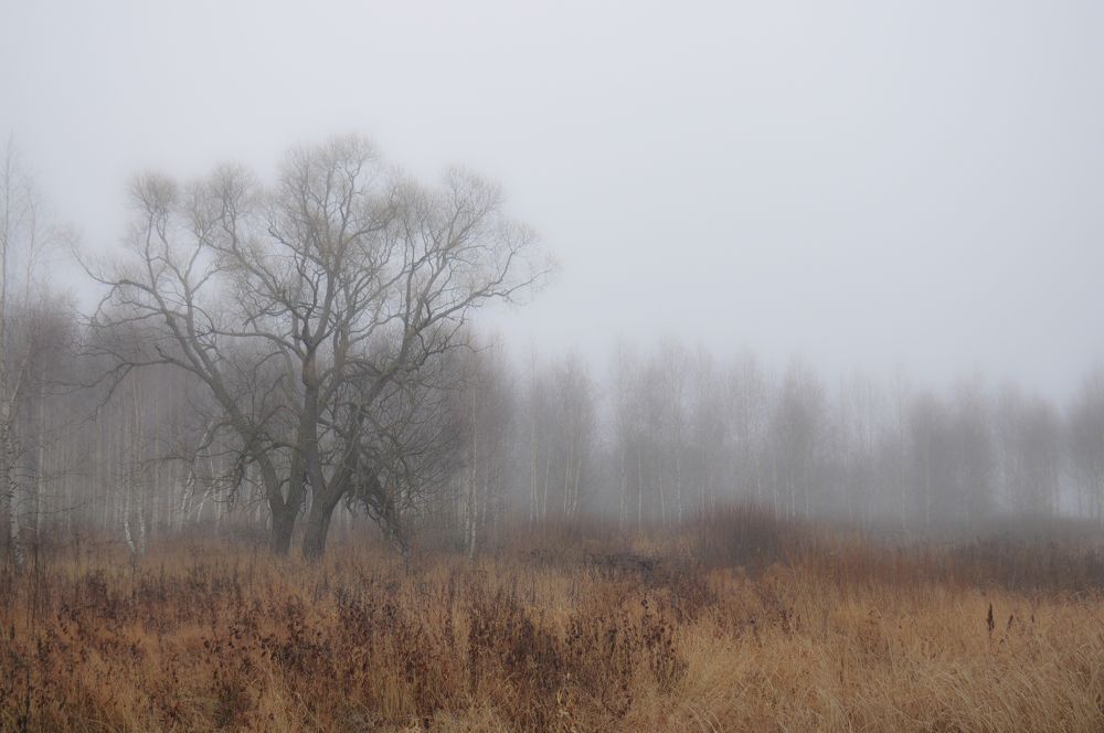 Photograph by Дмитрий Балатский