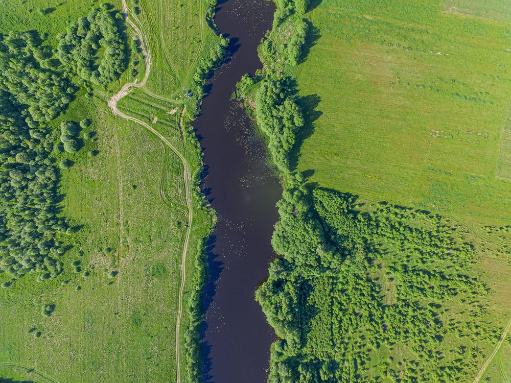 Photograph by Дмитрий Балатский