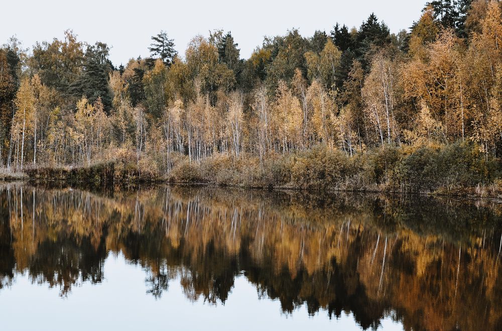 Photograph by Дмитрий Балатский