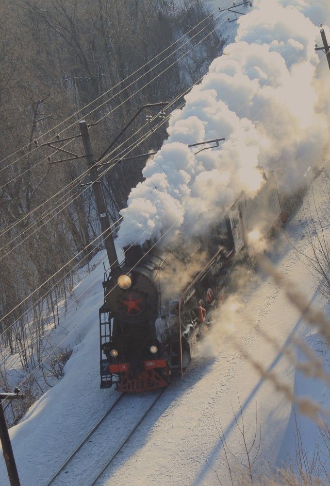 Фотография автора Татьяна Шебаршенко