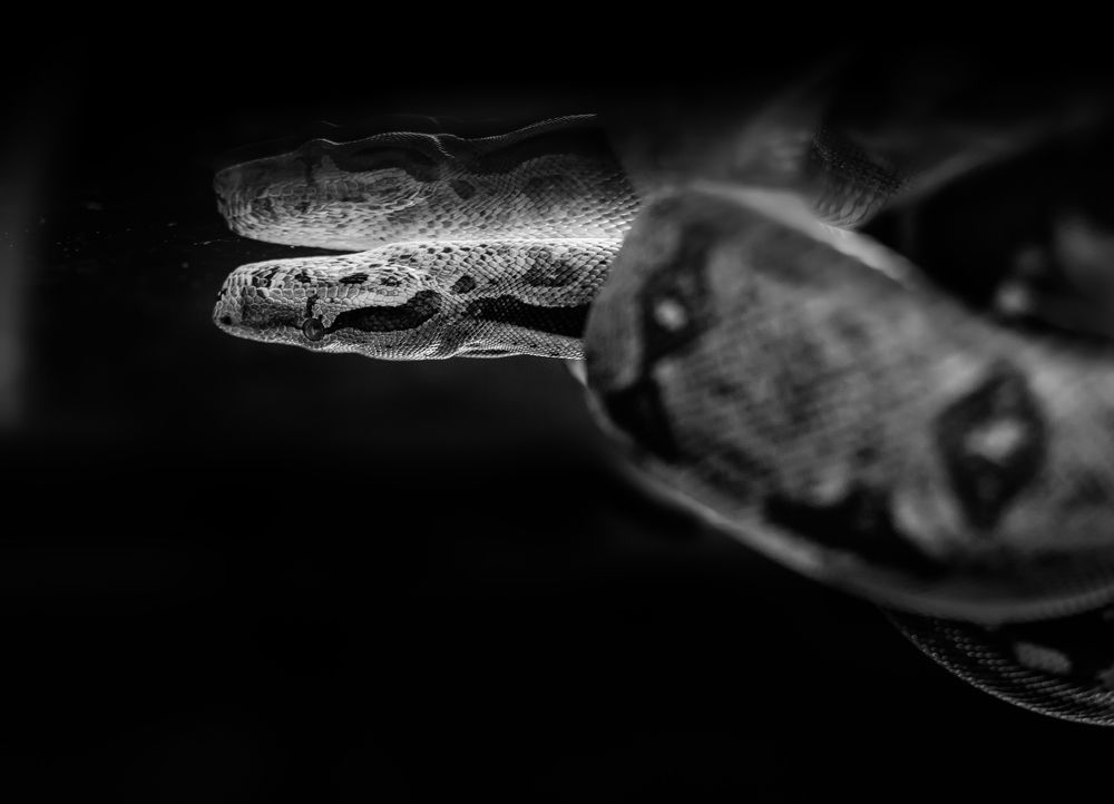 Photograph by Максим Митченко