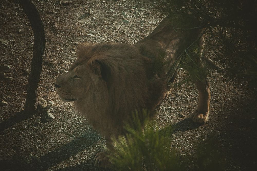 Фотография автора Мария Веселова