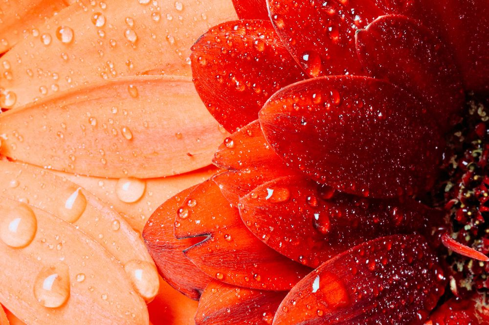 Фотография автора Наталья Василькова