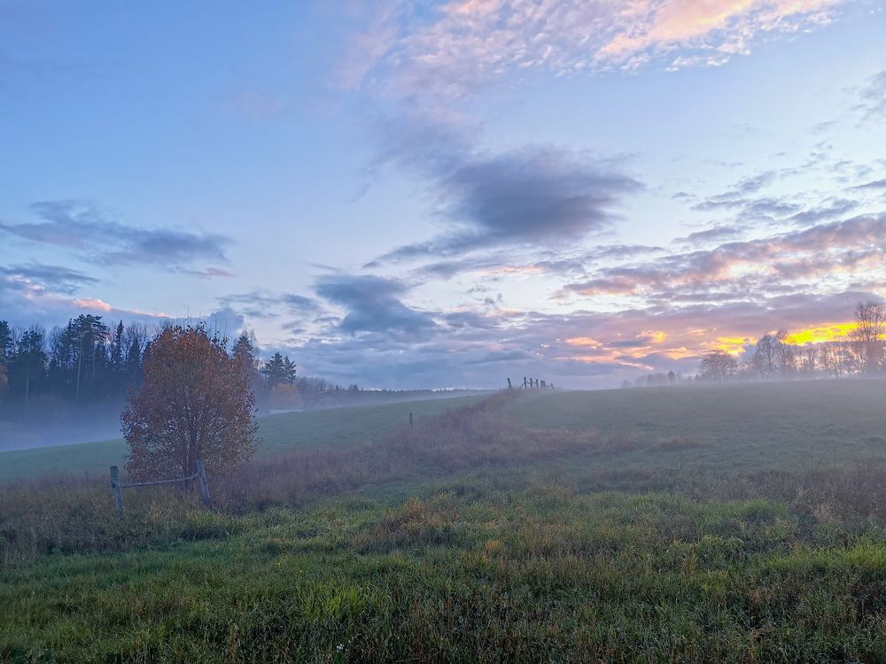Photograph by Valensia Ludus