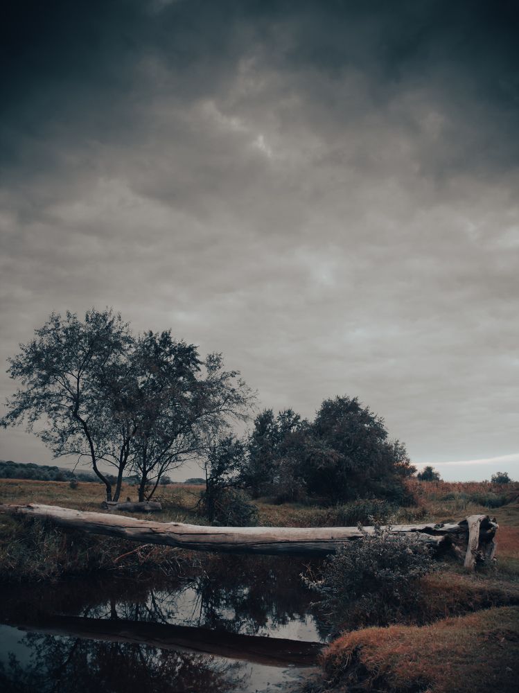 Photograph by SaifuddiN Beterhanov